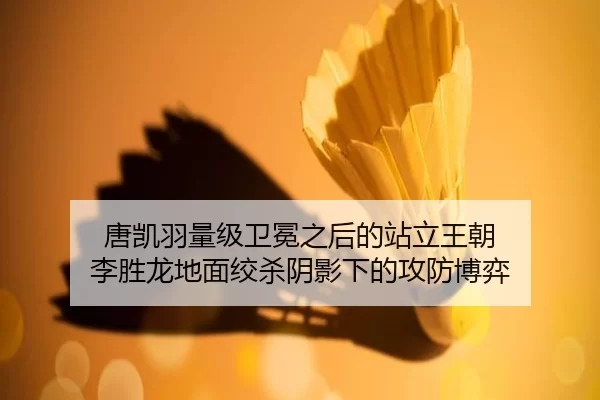唐凯羽量级卫冕之后的站立王朝 李胜龙地面绞杀阴影下的攻防博弈